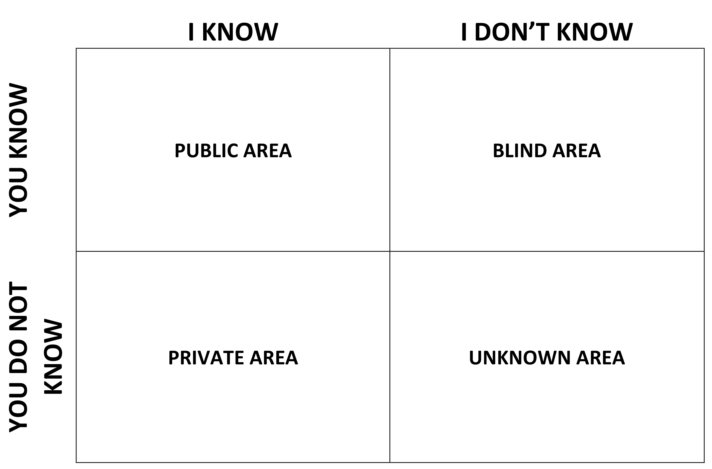 The Johari Window